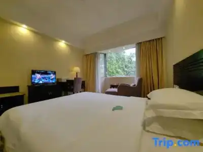 Dongguan - 17