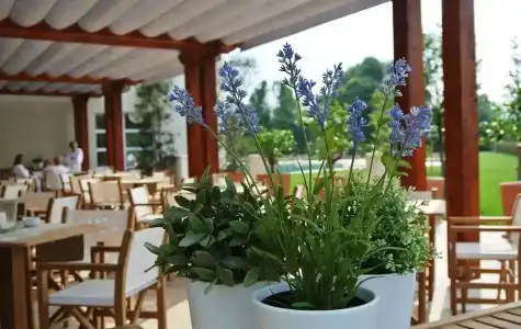 Terme Di Relilax Boutique & Spa - 36