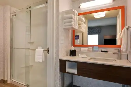 Hampton Inn & Suites Clearwater/St. Petersburg-Ulmerton Road, FL - 58