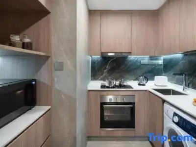 Park Avenue Clemenceau - 52
