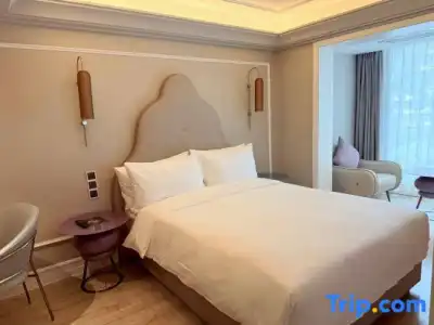 Mercure Xi'an Downtown - 93