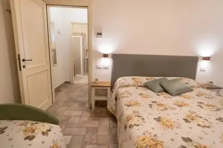Rosa di Assisi - 42