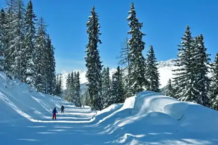 Alpenkönigin Alpine Luxury - 5