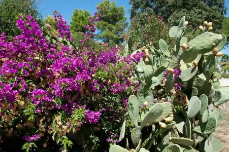 Ostuni a Mare - 24