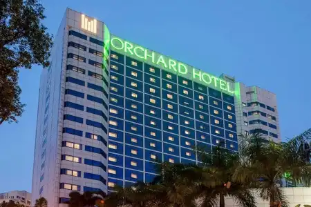 Orchard - 37