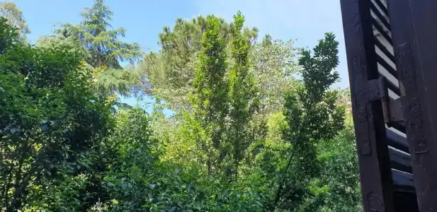 La Breccia a Porta Pia - 222