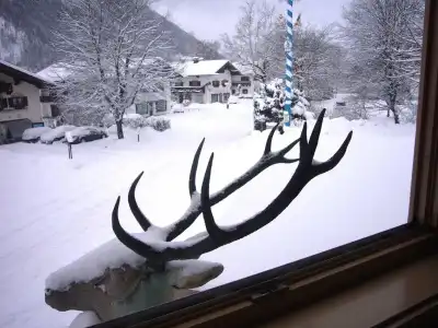 Alpenrose Bayrischzell - 12