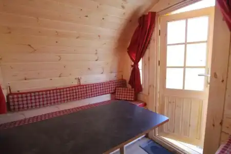 Azur Waldcamping Auwaldsee - 37
