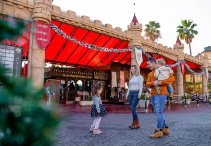 Magic Robin Hood - 22