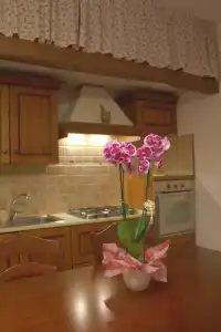 La Rosa dei Trulli B&B - 7