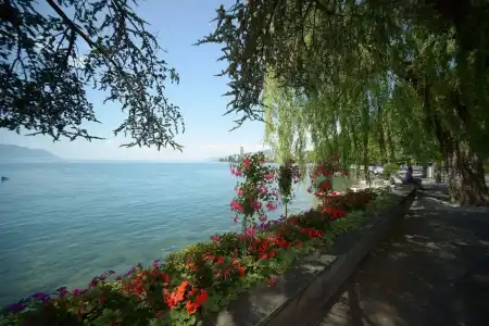Youth Hostel Montreux - 34