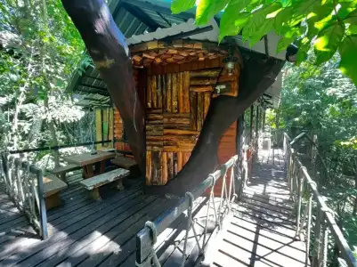 Khao Sok Tree House - 47