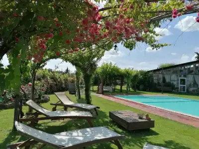 Podere Piandarca - 42