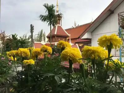 Miracle Boutique Chiang Mai - 22