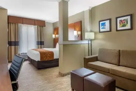 Comfort Suites University - 34