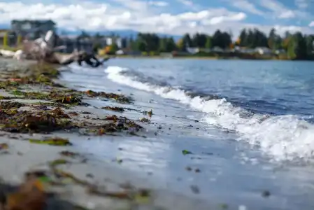 Coast Parksville - 15