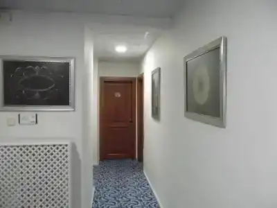Mavi Inci Park Otel - 10