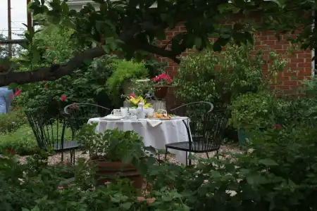 Mon Ami Bed and Breakfast - 17
