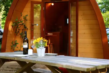 Azur Waldcamping Auwaldsee - 13