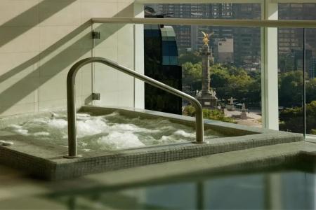 The St. Regis Mexico City - 19