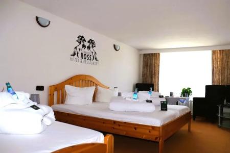 Schwarzes Ross & Restaurant Oberwiesenthal - 6