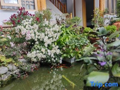 Lijiang Flower Sea Inn - 9