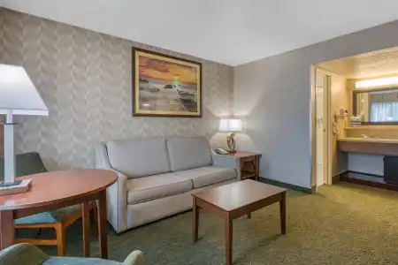 Best Western Seven Seas - 73