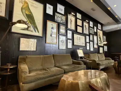 The Singular Santiago - 48