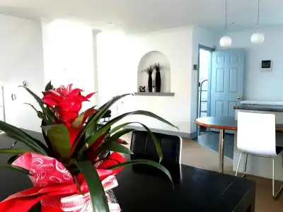 Lush & Co Auckland Bed & Breakfast - 3