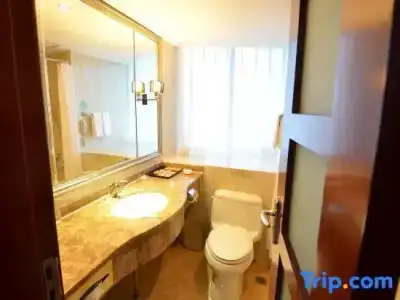 Wanyou Conifer Chongqing - 16