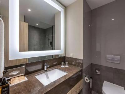 Tbilisi Saburtalo by Mercure - 10