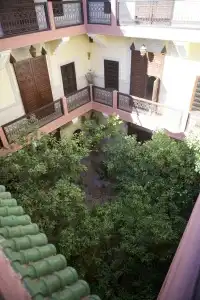 Riad Sidi Ayoub - 0