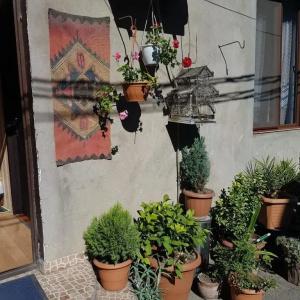 Guesthouse Gia - 13