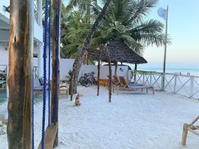 African Paradise Beach - 25
