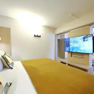 Mercure Grenoble Centre Porte des Alpes - 45