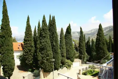Villa Anka - 35