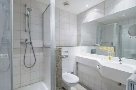 Best Western Plus Excelsior - 46