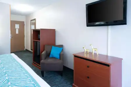 Comfort Inn at the Zoo - 40