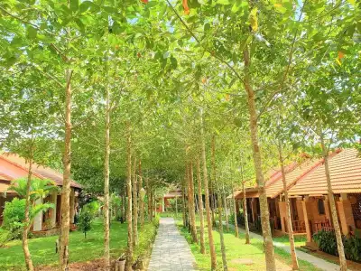 The Garden House Phu Quoc Resort - 181