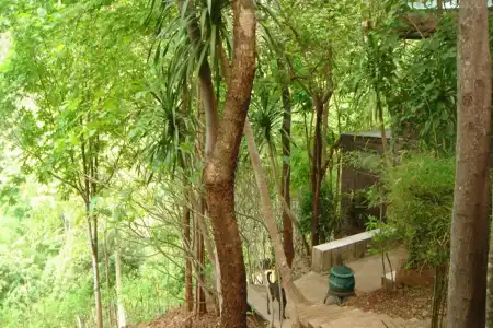 Sam's Jungle Guesthouse - 0