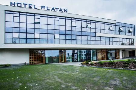 Platan - 39