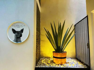Cadillac Boutique - 29