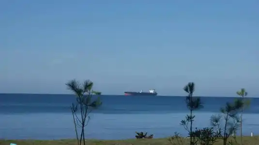Mana-Mana - 39