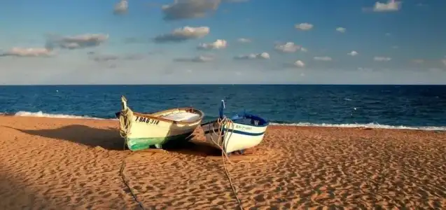 Camping Bellsol - 20