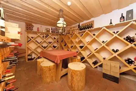Hôtel des Alpes - 14