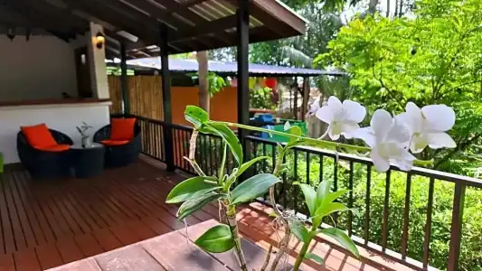 Alpha Resort & Spa - 189