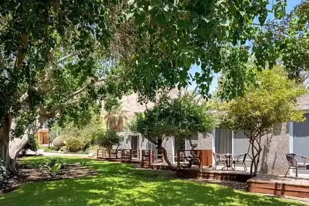 Ein Gedi Kibbutz - 66
