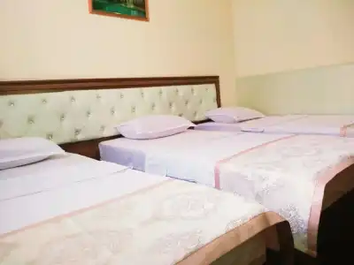 Grand Zamin - 8