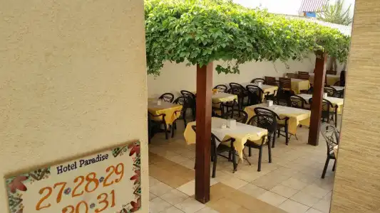 al paradise - 21