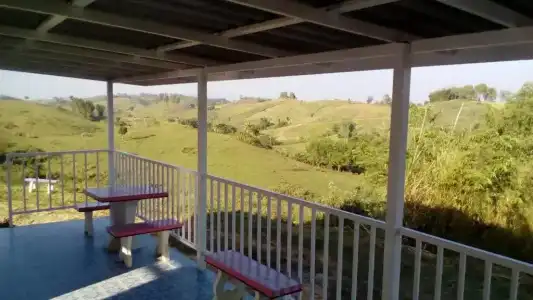 Lovely Farm - 44
